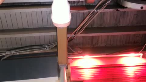 Snapshot of bigassman46 chatting on 10.09.25 Straight Dave online show from 10.09.25