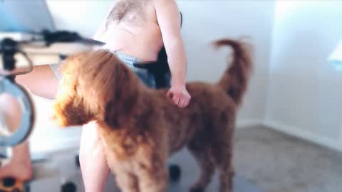 Alcide Herveaux online show from 02.25.26