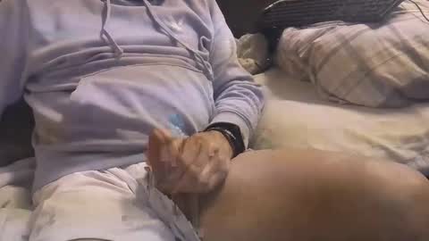 L e g a l    S t u f f Any UNAUTHORIZED use of this profile video pictures or audio in any form or in a forum now or in the fu online show from 03.03.25