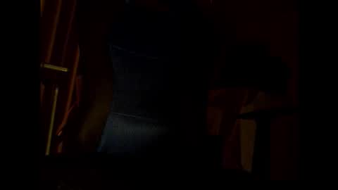 Snapshot of bigbro0007 chatting on 11.25.25 bigbro0007 online show from 11.25.25