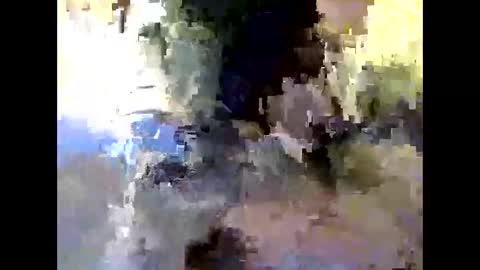 bigdaddydongarlets391292 online show from 10.24.25