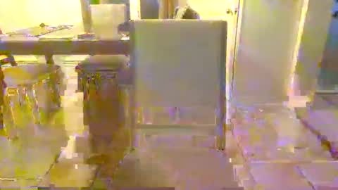 bigdeer581917471 online show from 06.08.26