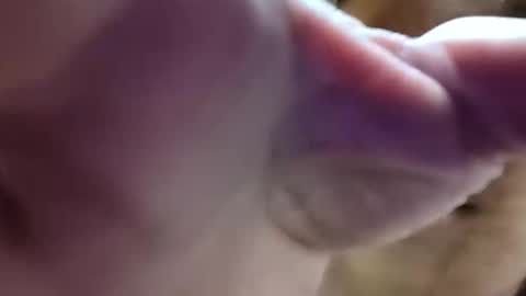 bigdickdaddy7201979564868 online show from 06.10.26