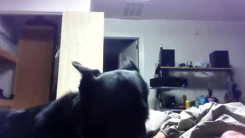 bigdickdaddy7201979564868 online show from 06.19.26