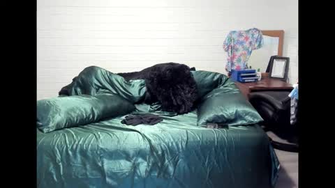 Snapshot of bigdickpiercedtattoos chatting on 10.22.25 bigdickpiercedtattoos online show from 10.22.25