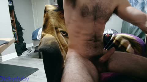 George Forest Dickyduby on all Socials online show from 01.02.25