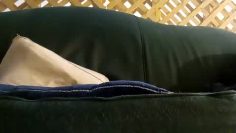 biggestboiiii online show from 06.07.26