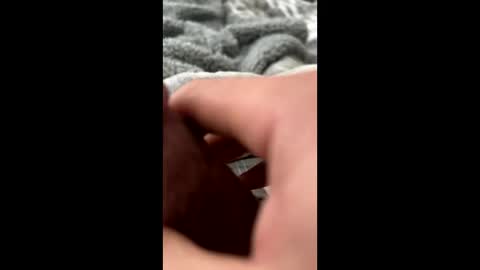 bigggbillyyy online show from 01.05.25