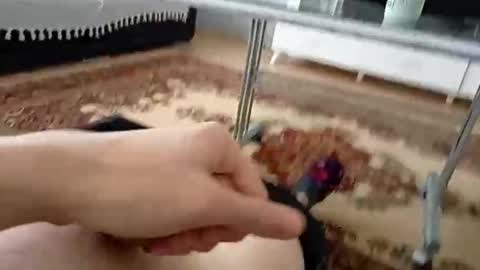 bighardlongdick20cm online show from 05.24.26