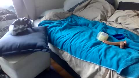 bigjoed233 online show from 03.08.26