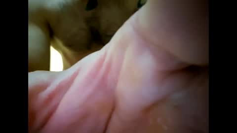 bigjoeyblow online show from 11.01.25