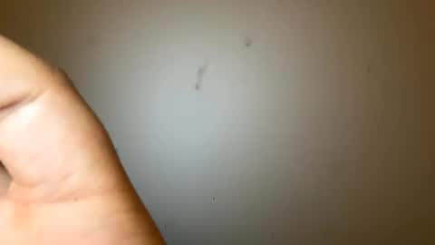 bigmaanbulk online show from 01.26.25