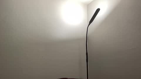 Snapshot of bigmcr1 chatting on 01.26.25 Nick Barker online show from 01.26.25