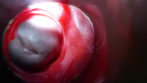 Snapshot of bigmoneycorey chatting on 03.10.26 bigmoneycorey online show from 03.10.26