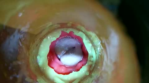 Snapshot of bigmoneycorey chatting on 03.14.26 bigmoneycorey online show from 03.14.26