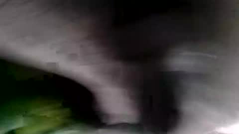 bignastyfilthy online show from 01.19.26