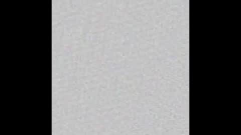 bigotterbro online show from 02.04.26