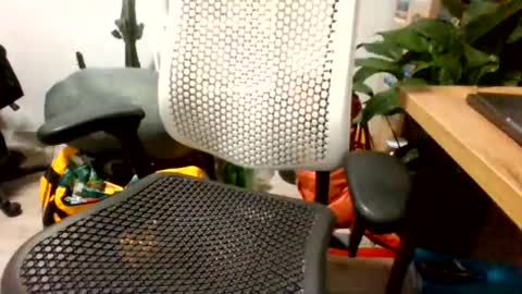 Snapshot of bigpolishdick12345 chatting on 06.24.26 bigpolishdick12345 online show from 06.24.26