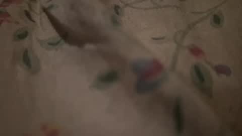 bigpoppadutch666 online show from 01.16.26