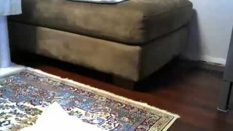 Snapshot of bigr_101 chatting on 11.16.25 bigr_101 online show from 11.16.25