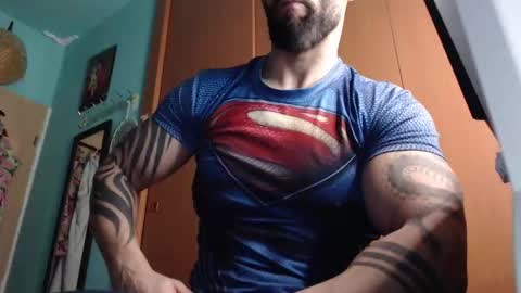 BigStallion online show from 02.19.26