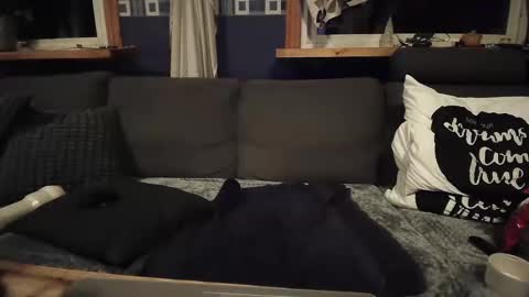 bigswe1 online show from 12.16.24