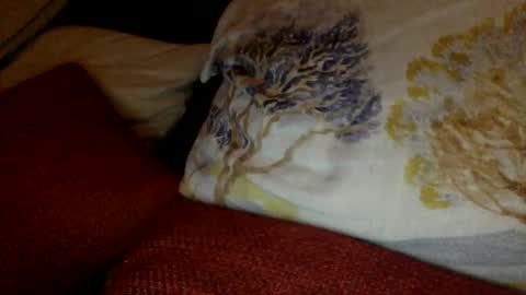 bigvic25cm online show from 03.01.25