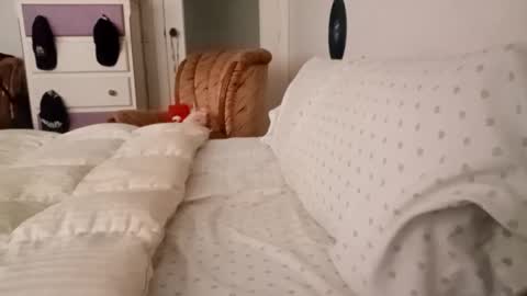 Bill online show from 09.19.25