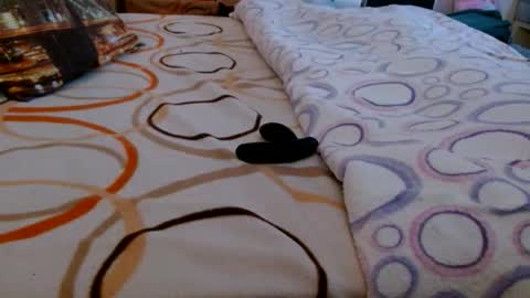 Bill online show from 03.16.26