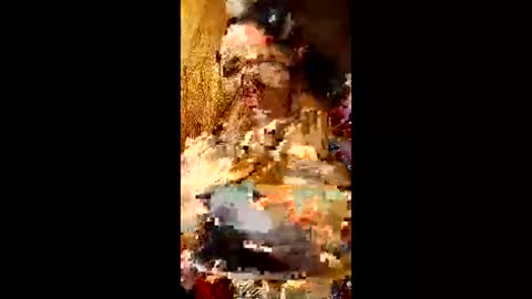 bina241986 online show from 06.10.26
