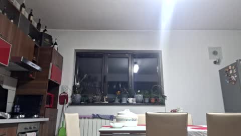 Snapshot of bisexdadd chatting on 02.23.25 bisexdadd online show from 02.23.25