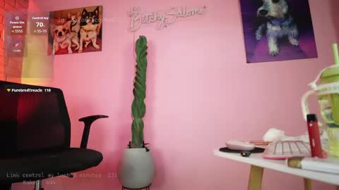 bitchysalome online show from 04.19.26