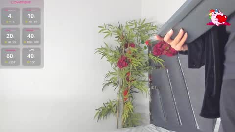 B L A C K  R O S E  online show from 03.10.25