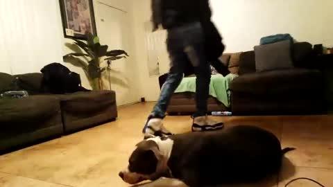 Snapshot of blackriches96 chatting on 02.15.25 blackriches96 online show from 02.15.25