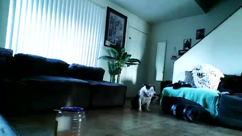 Snapshot of blackriches96 chatting on 02.17.25 blackriches96 online show from 02.17.25