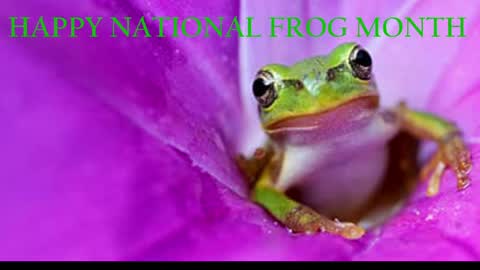 Queen Siren online show from 04.01.26