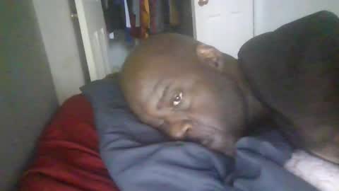 Snapshot of blackteddybear chatting on 01.19.26 blackteddybear online show from 01.19.26