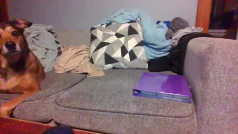 blaw_1321 online show from 09.19.25