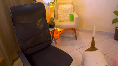 FLORAA online show from 02.19.26