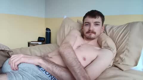 blue online show from 04.02.26