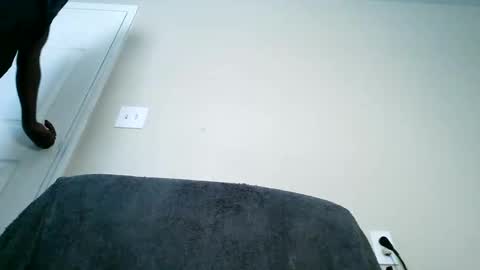 bobbiebone and company online show from 03.11.25