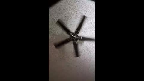 Snapshot of boca34345 chatting on 03.02.26 boca34345 online show from 03.02.26