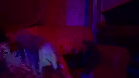 Sailorartemis online show from 04.26.26