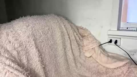 bohemia777 online show from 04.07.26