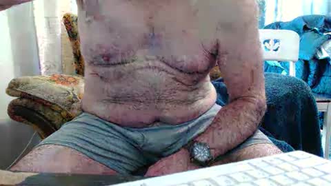 bolbil1 online show from 02.01.26