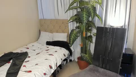 bombshelllaurax online show from 03.03.25