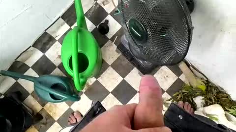 bonershot online show from 03.23.26