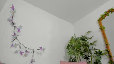   online show from 02.01.26