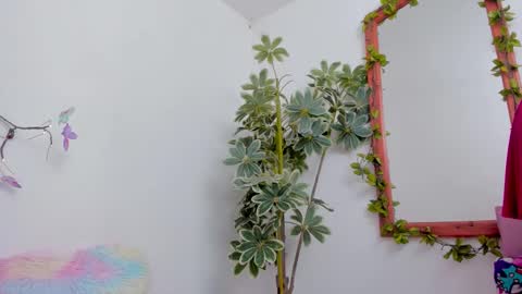   online show from 03.22.26