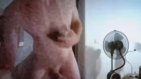 borderlanddu13 online show from 10.26.25